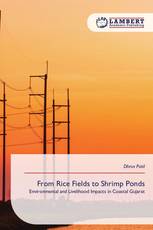 From Rice Fields to Shrimp Ponds