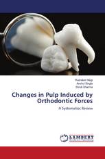 Changes in Pulp Induced by Orthodontic Forces