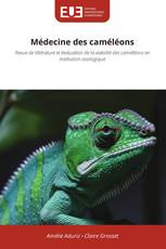 Médecine des caméléons