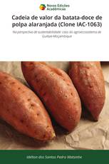 Cadeia de valor da batata-doce de polpa alaranjada (Clone IAC-1063)