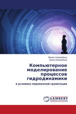 Компьютерное моделирование процессов гидродинамики