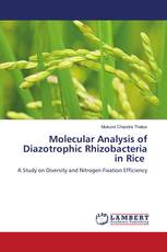 Molecular Analysis of Diazotrophic Rhizobacteria in Rice