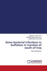 Some bacterial infections in buffaloes in marshes of south of Iraq