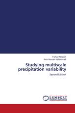 Studying multiscale precipitation variability