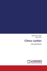 Citrus canker