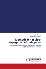 Methods for in vitro propagation of date palm