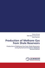 Production of Methane Gas from Shale Reservoirs
