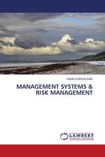 MANAGEMENT SYSTEMS & RISK MANAGEMENT