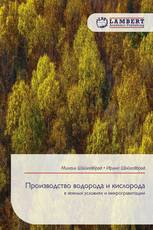 Производство водорода и кислорода