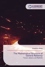 The Mathematical Structure of General Relativity