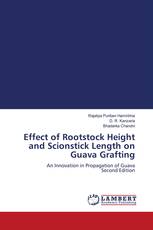 Effect of Rootstock Height and Scionstick Length on Guava Grafting