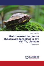 Black breasted leaf turtle (Geoemyda spengleri) in Tay Yen Tu, Vietnam