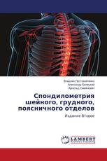 Спондилометрия шейного, грудного, поясничного отделов