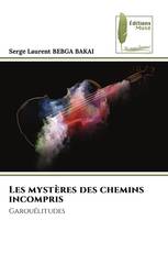 Les mystères des chemins incompris