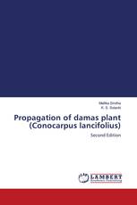Propagation of damas plant (Conocarpus lancifolius)