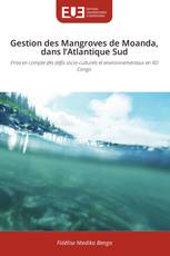 Gestion des Mangroves de Moanda, dans l’Atlantique Sud