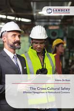 The Cross-Cultural Safety