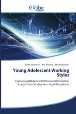 Young Adolescent Working Styles