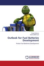 Outlook for Fuel Batteries Development