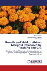 Growth and Yield of African Marigold Influenced by Pinching and GA₃