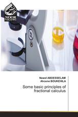Some basic principles of fractional calculus