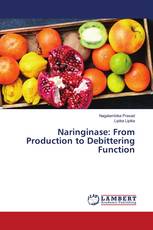 Naringinase: From Production to Debittering Function