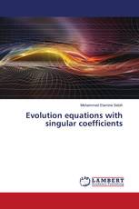 Evolution equations with singular coefficients