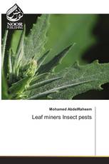 Leaf miners Insect pests