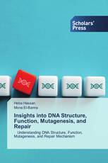Insights into DNA Structure, Function, Mutagenesis, and Repair