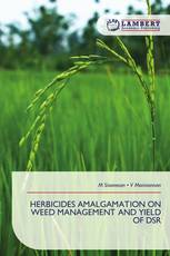 HERBICIDES AMALGAMATION ON WEED MANAGEMENT AND YIELD OF DSR