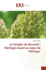 Le Sorgho du Burundi : Héritage vivant au cœur de l’Afrique