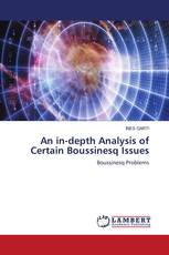 An in-depth Analysis of Certain Boussinesq Issues