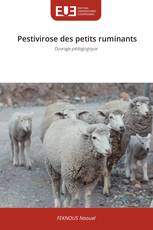 Pestivirose des petits ruminants