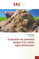 Evaluation du potentiel biogaz d’un résidu lignocellulosique