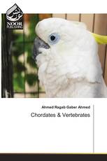 Chordates & Vertebrates
