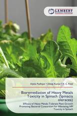 Bioremediation of Heavy Metals Toxicity in Spinach (Spinacia oleracea)