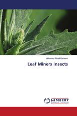 Leaf Miners Insects