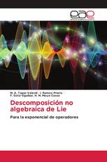 Descomposición no algebraica de Lie