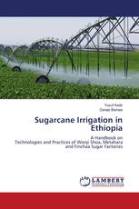 Sugarcane Irrigation in Ethiopia