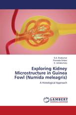 Exploring Kidney Microstructure in Guinea Fowl (Numida meleagris)