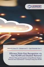Efficient Multi-Gait Recognition via Fast RCNN and Shadow Removal