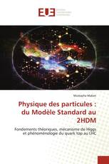 Physique des particules : du Modèle Standard au 2HDM