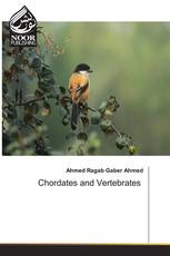 Chordates and Vertebrates