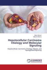 Hepatocellular Carcinoma Etiology and Molecular Signaling