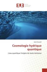 Cosmologie hydrique quantique
