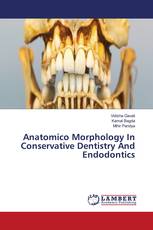 Anatomico Morphology In Conservative Dentistry And Endodontics