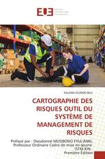 CARTOGRAPHIE DES RISQUES OUTIL DU SYSTÈME DE MANAGEMENT DE RISQUES