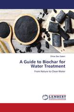 A Guide to Biochar for Water Treatment