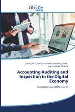 Accounting Auditing and Inspection in the Digital Economy