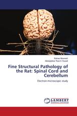 Fine Structural Pathology of the Rat: Spinal Cord and Cerebellum